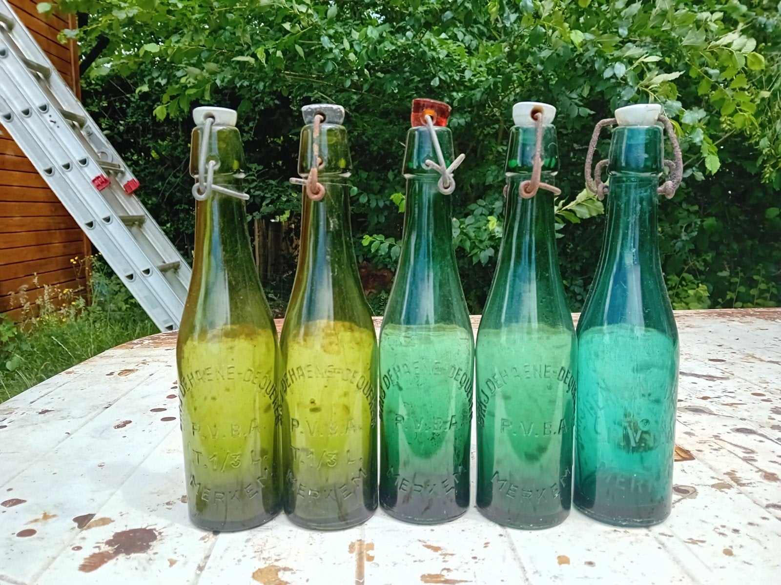 Oude vintage bierflessen brouwerij Dehaene Merkem, Ophalen of Verzenden