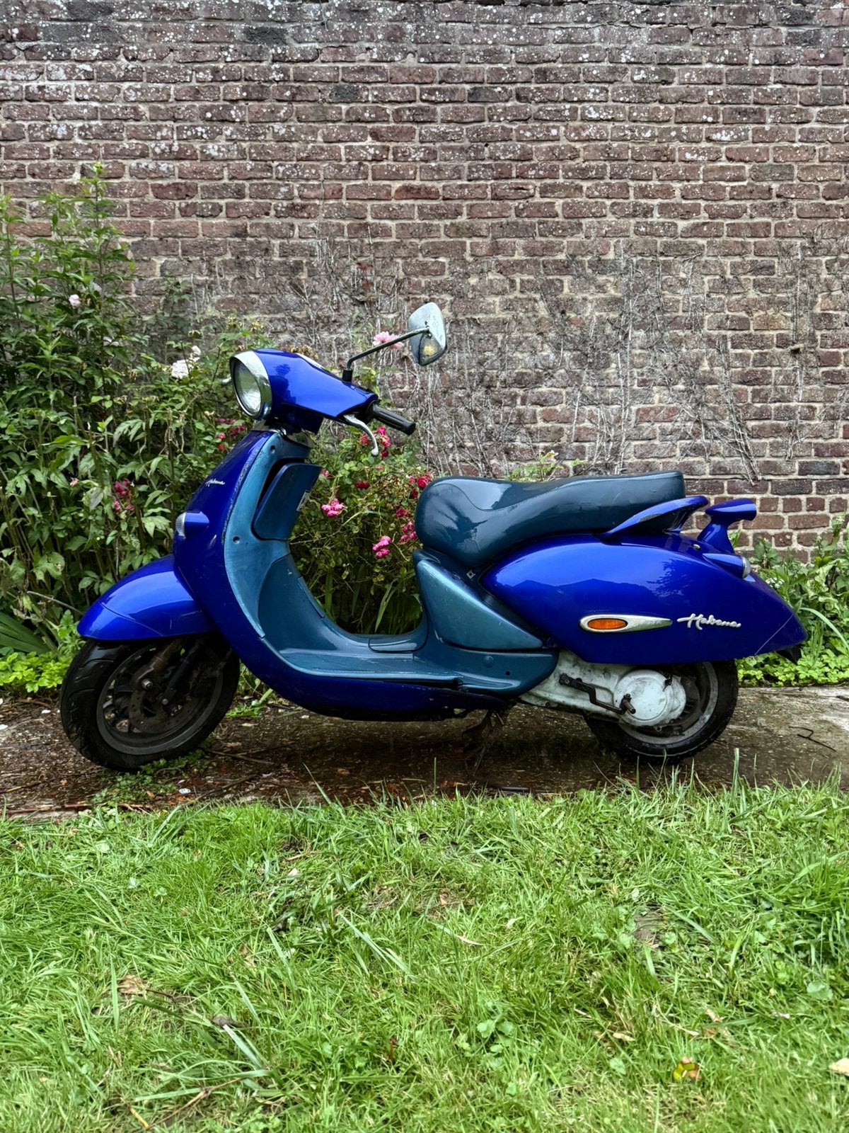 Aprillia habana 50cc, Fietsen en Brommers, Scooters | Aprilia, Ophalen, Gebruikt