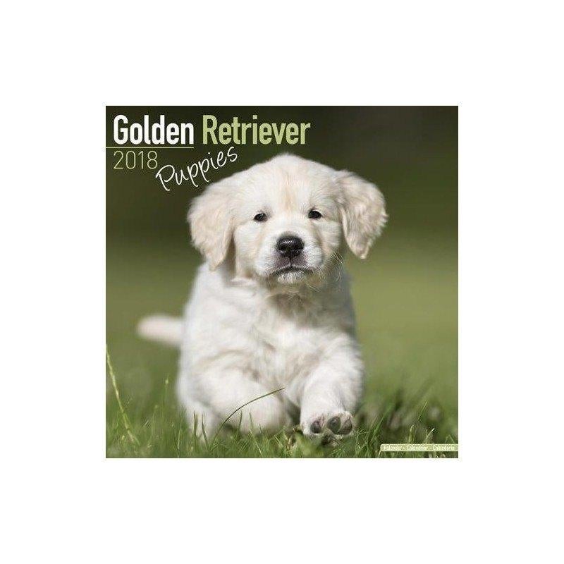Golden Retriever Puppy-kalender 2018, Ophalen of Verzenden, Jaarkalender, Nieuw