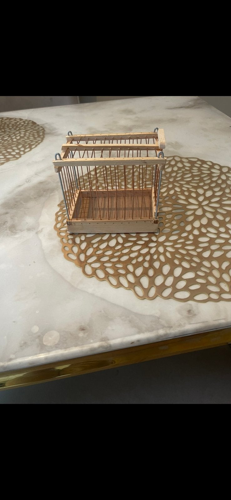 Cage de transport pour oiseaux, Animaux & Accessoires, Enlèvement, Neuf