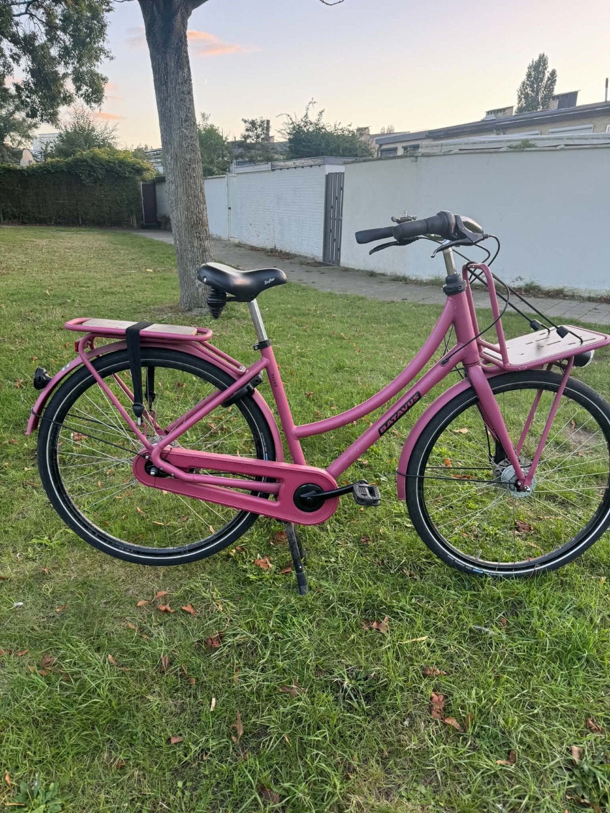 Batavus damesfiets, Fietsen en Brommers, Ophalen, Versnellingen
