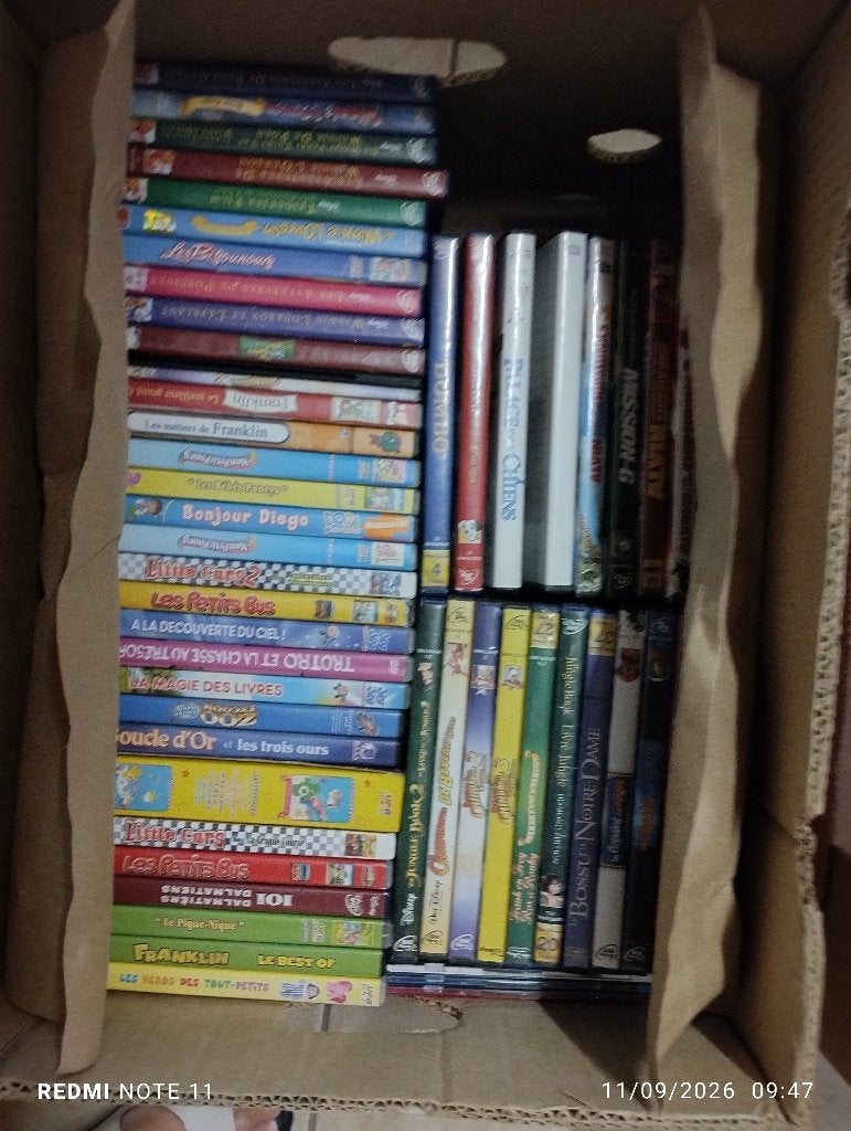 DVD, CD & DVD, Enlèvement, Comme neuf, Français, Autres genres