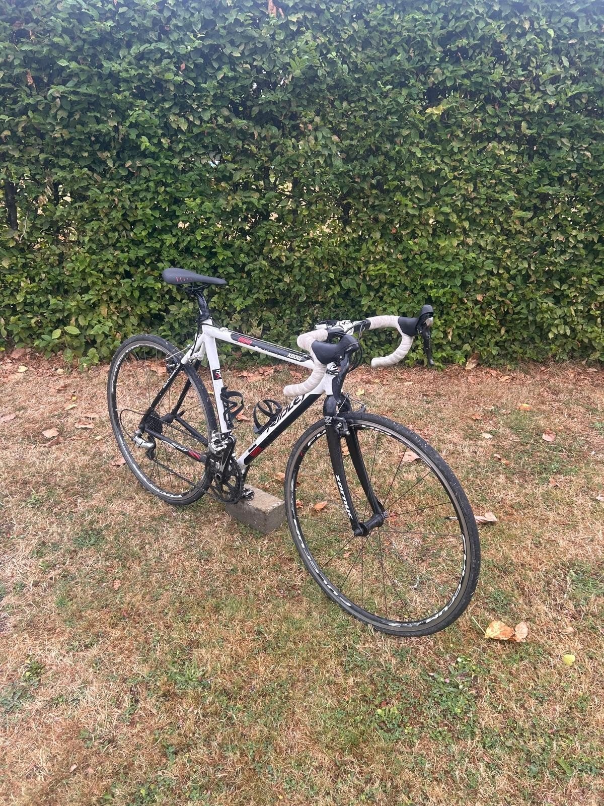 Ridley cyclocross fiets met wegbanden, framemaat 52, 28 inch, Gebruikt, 10 tot 15 versnellingen, Aluminium