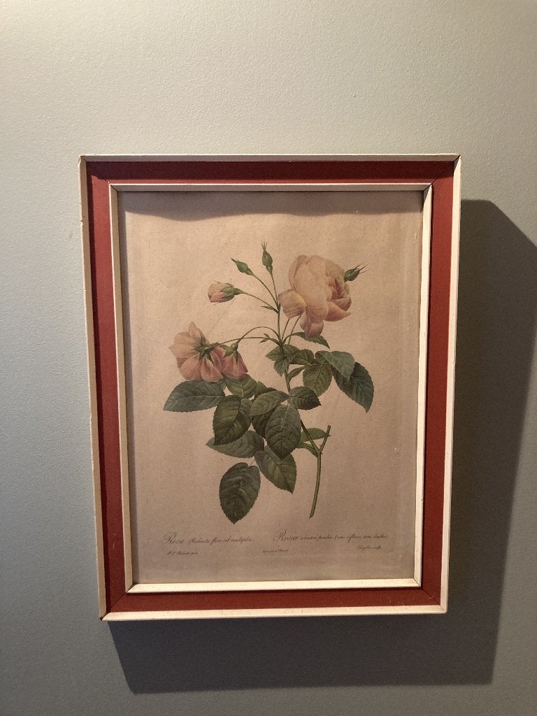 Cadre Pierre-Joseph Redouté, Enlèvement, Comme neuf