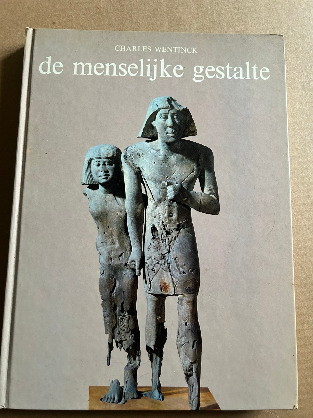 De menselijke gestalte - panorama, Ophalen of Verzenden, Gelezen, Overige onderwerpen