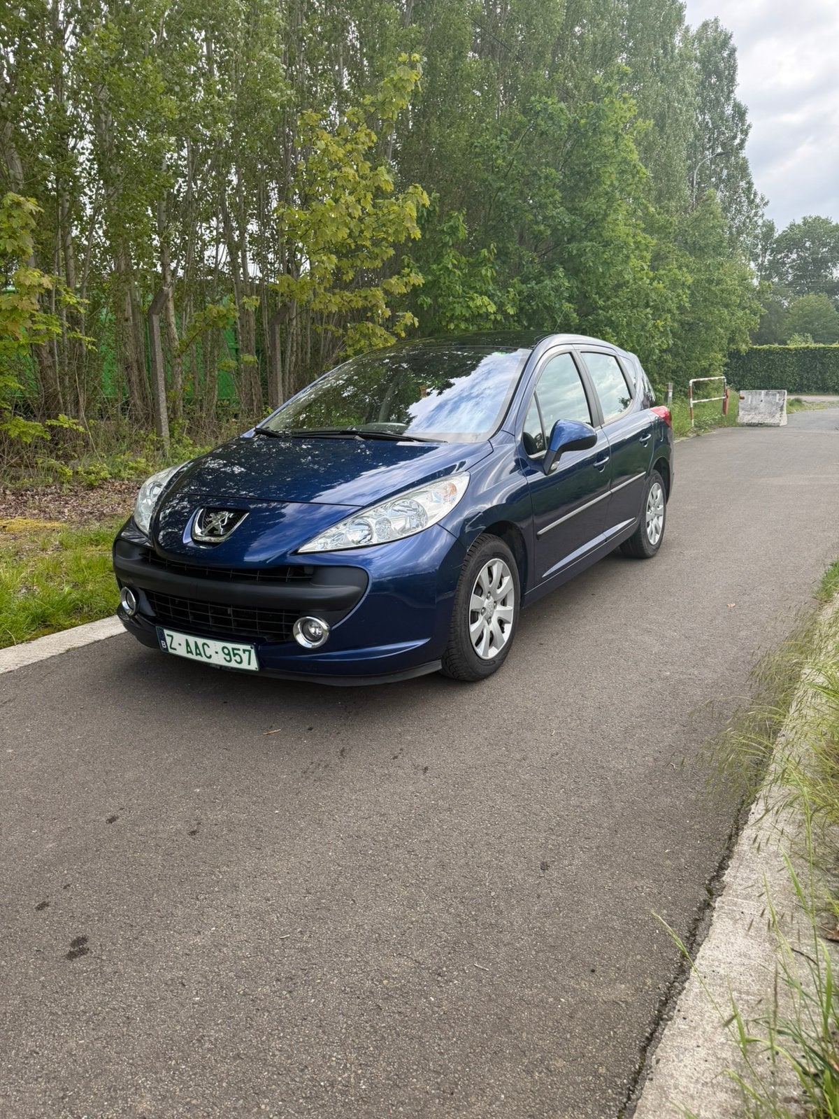Peugeot 207 sw, 4 cilinders, https://public.car-pass.be/vhr/503dcad5-743c-4e36-ae7e-184ba6d1e1a6, Bedrijf, 1400 cc