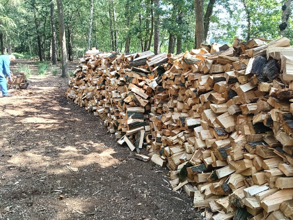 Brandhout, Tuin en Terras, 6 m³ of meer, Ophalen of Verzenden, Overige houtsoorten, Blokken
