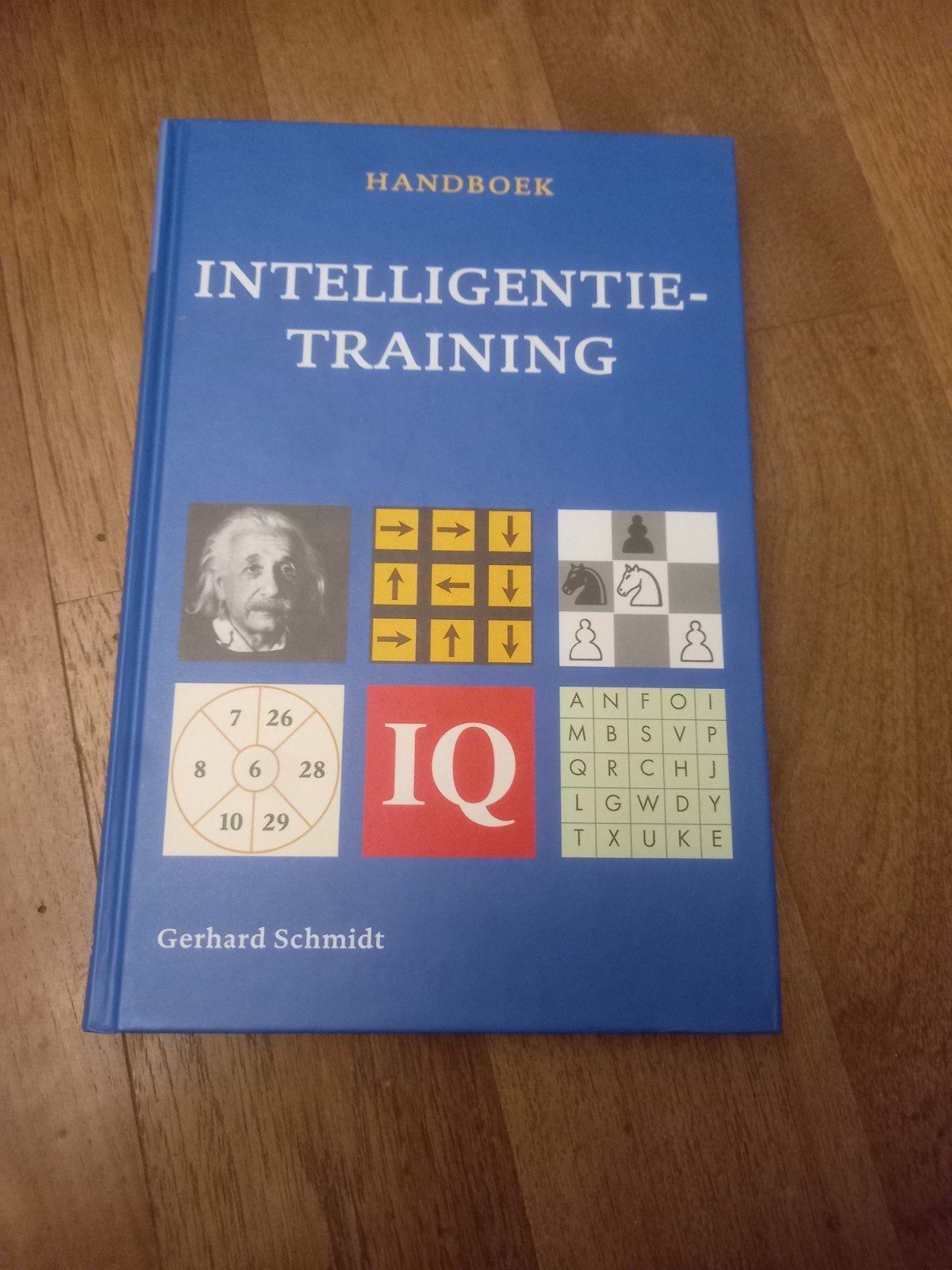 G. Schmidt - Handboek Intelligentietraining, Boeken, Overige Boeken, Ophalen of Verzenden, G. Schmidt