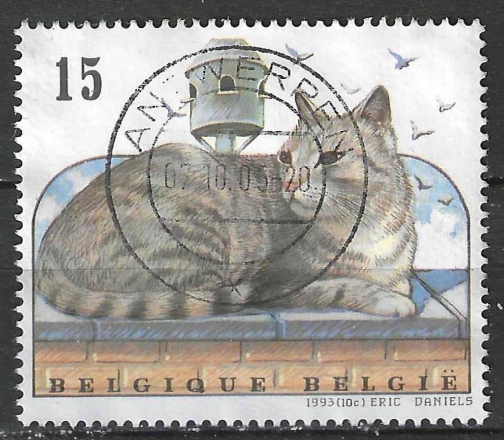 Belgie 1992 - Yvert/OBP 2523 - Europese katten (ST), Verzenden, Gestempeld, Gestempeld