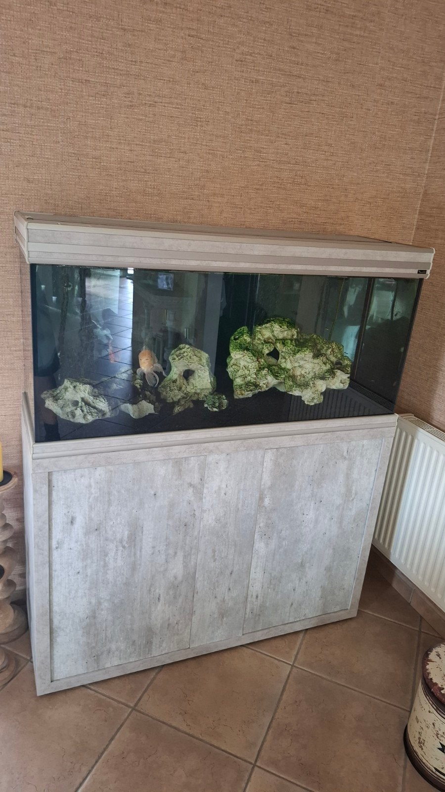 Aquarium aquatlantis, Ophalen, Gebruikt, Aquatlantis, Gevuld zoetwateraquarium