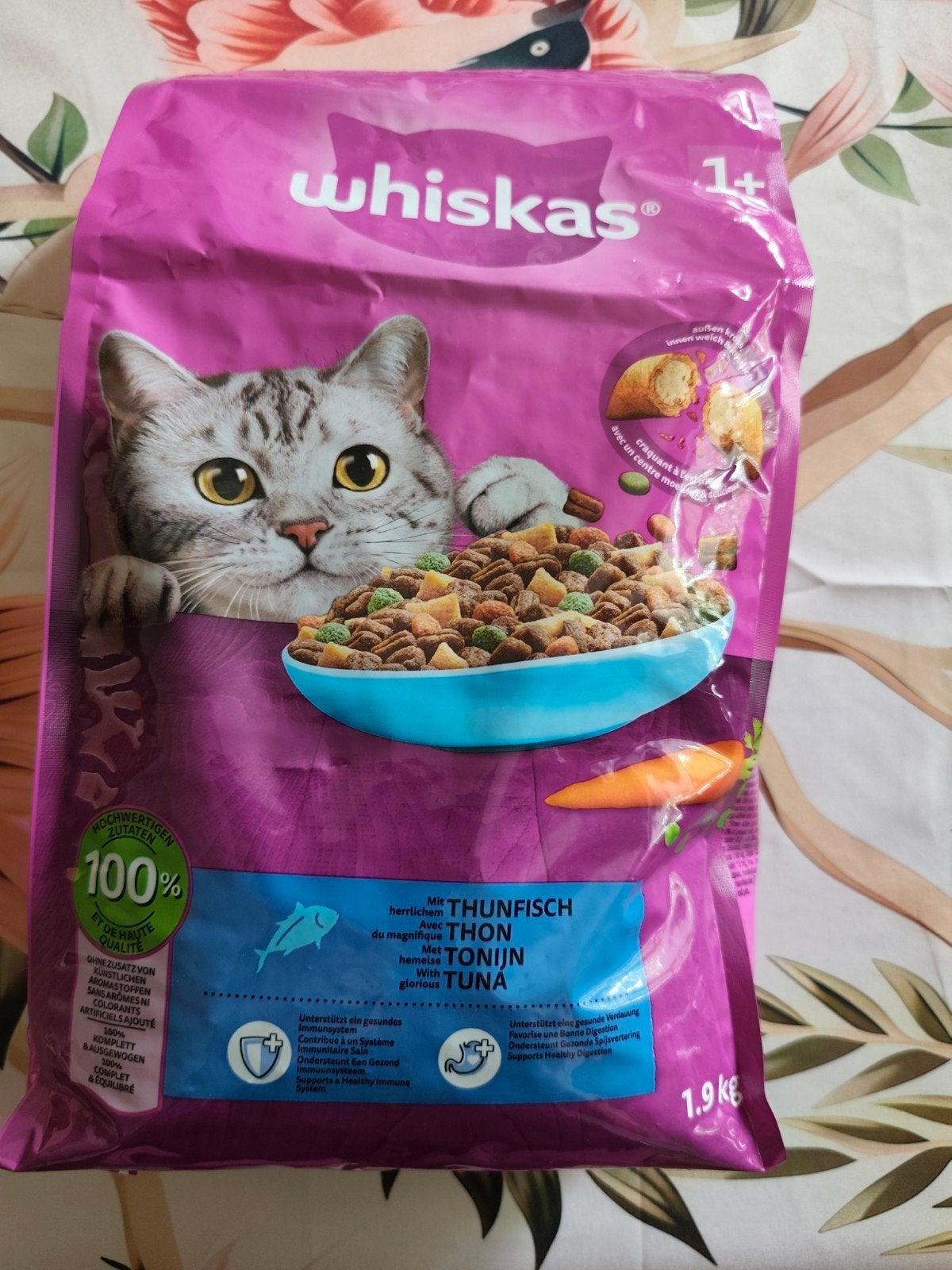 Nourriture chat 1+, Animaux & Accessoires, Nourriture pour Animaux, Enlèvement, Chat