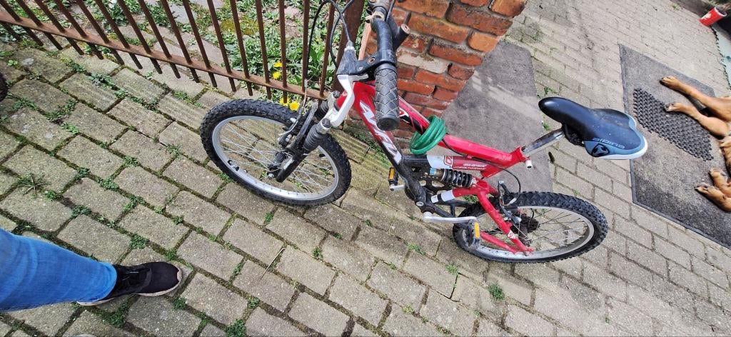 Fiets 20inch, Fietsen en Brommers, Ophalen