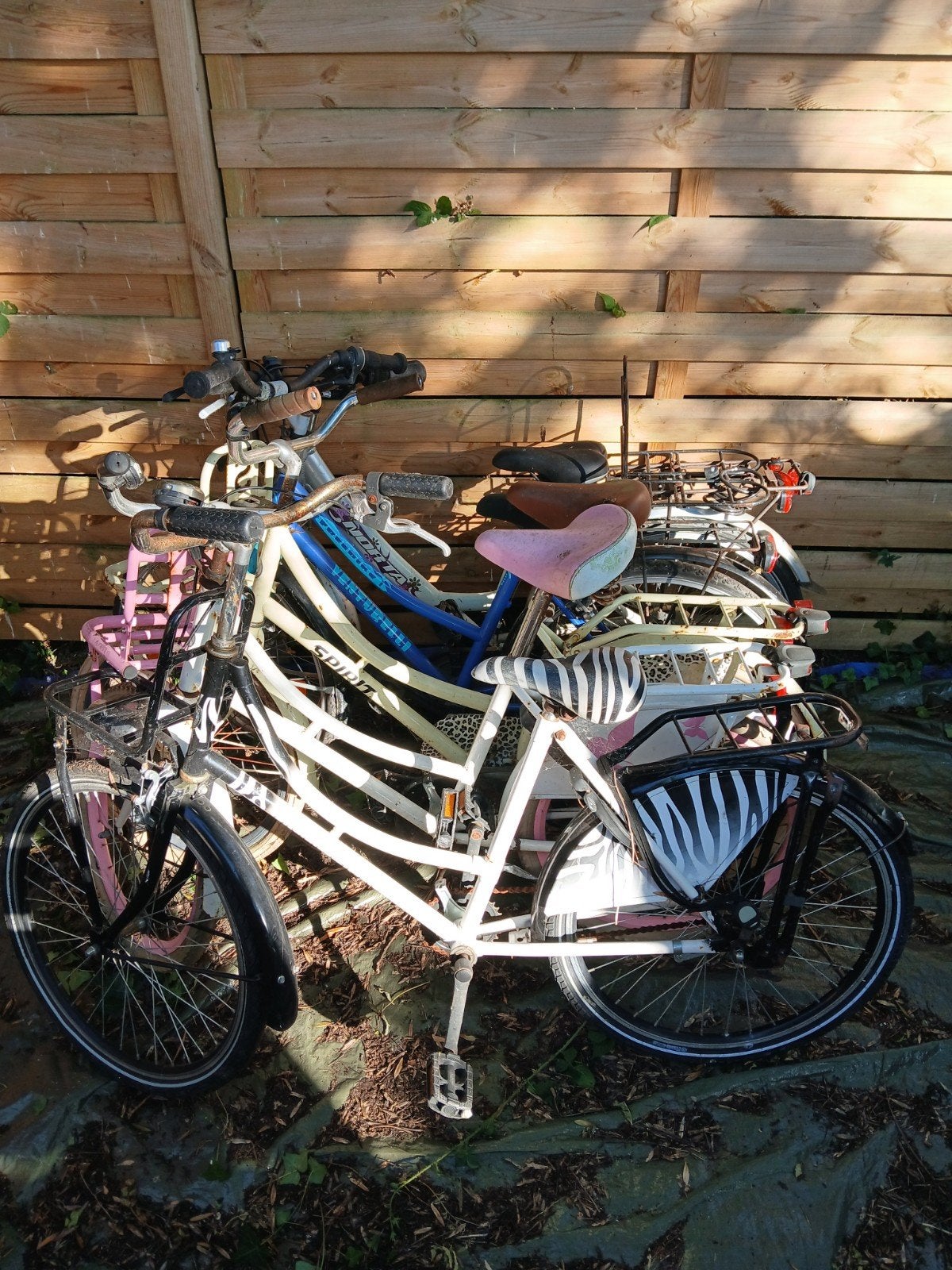 Lot de 5 vélos 22/24 pouces pour filles 125€, Vélos & Vélomoteurs, Enlèvement