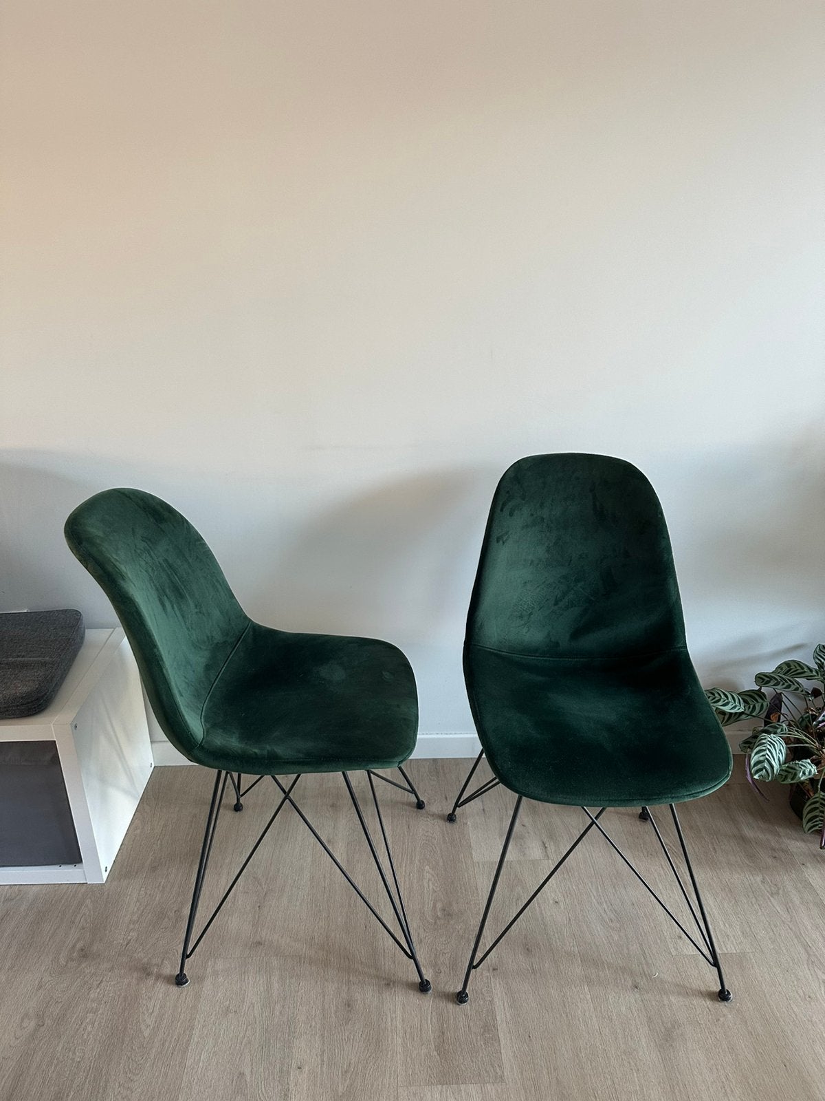 Twee groene velvet stoelen, Ophalen, Twee, Overige kleuren, Zo goed als nieuw