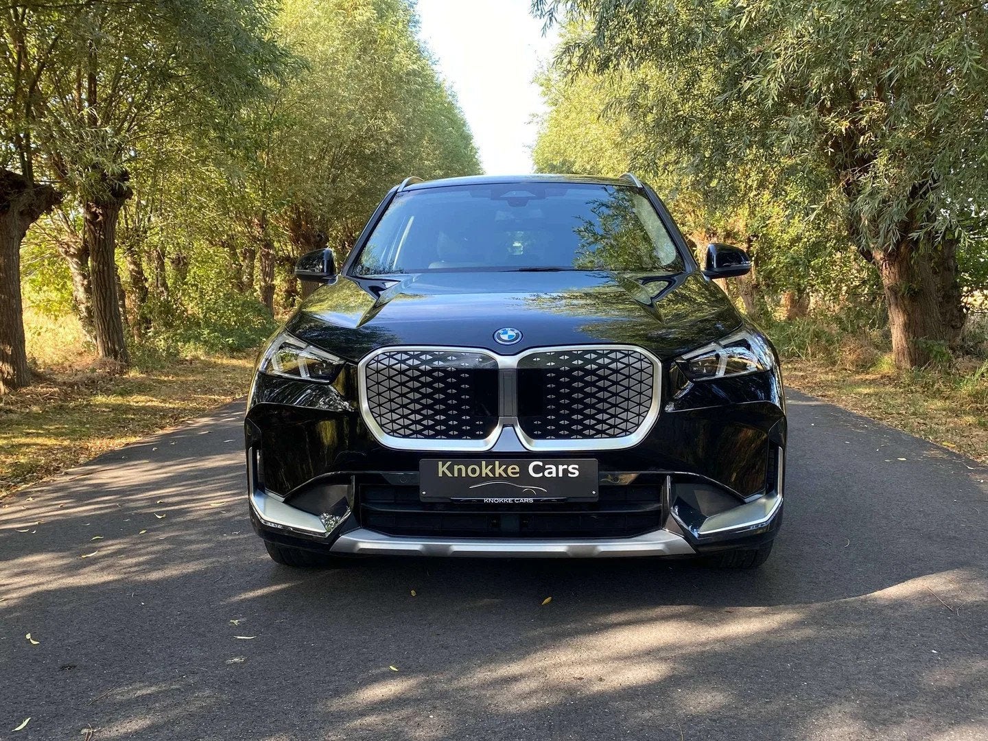 BMW iX1 480km radius,Led Lichten,Leder zwart,Parkassist met, Automaat, Zwart, Zwart, Leder