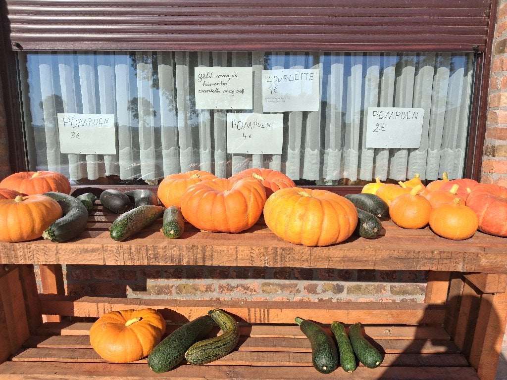 verse courgettes en pompoenen, Diversen, Ophalen