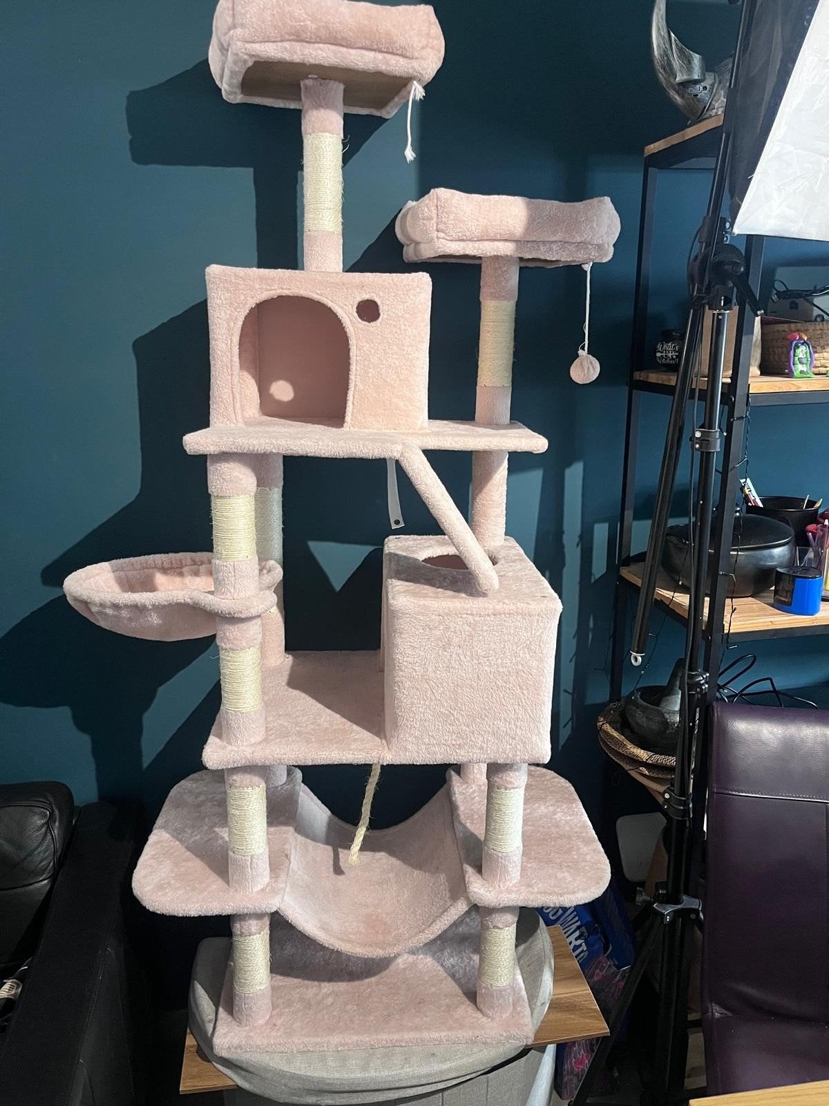 Arbre à chat, Enlèvement