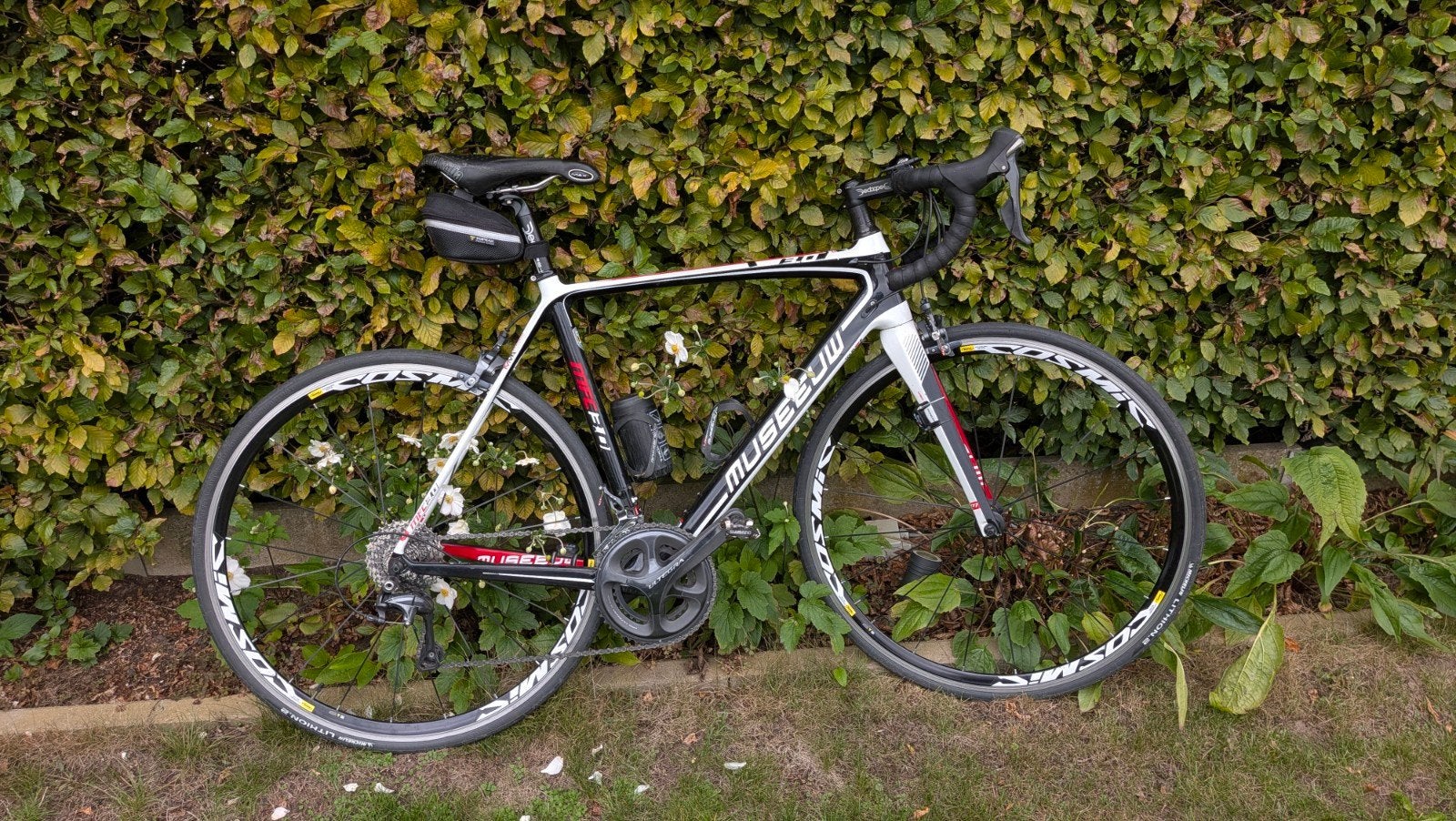 koersfiets full Carbon size 54, Ophalen, Gebruikt