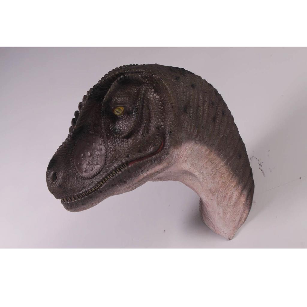 Tête de saurus Allo — Statue de dinosaure Longueur 59 cm, Enlèvement, Neuf
