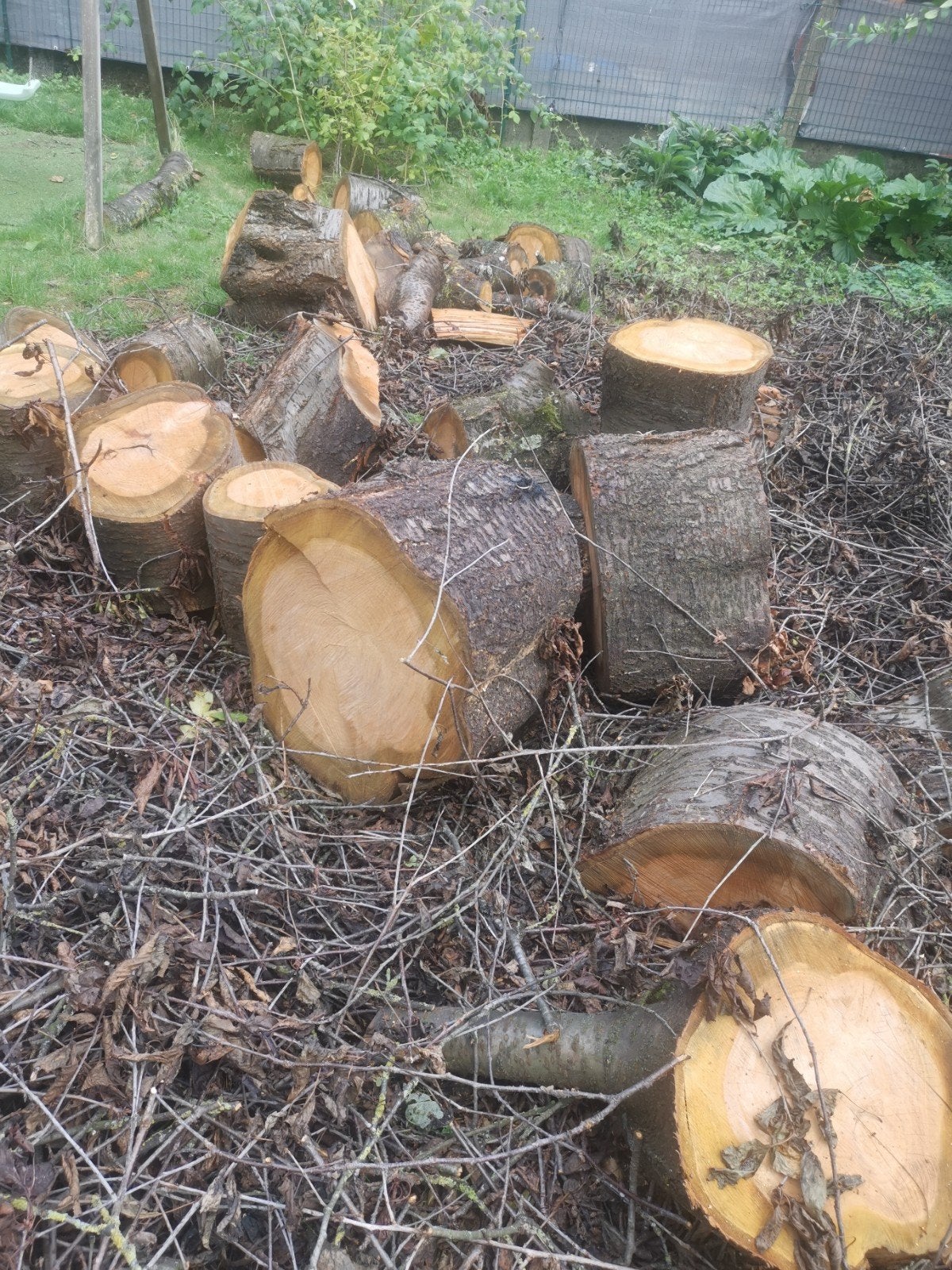 bois a vendre, Jardin & Terrasse, Bois de chauffage, Enlèvement ou Envoi