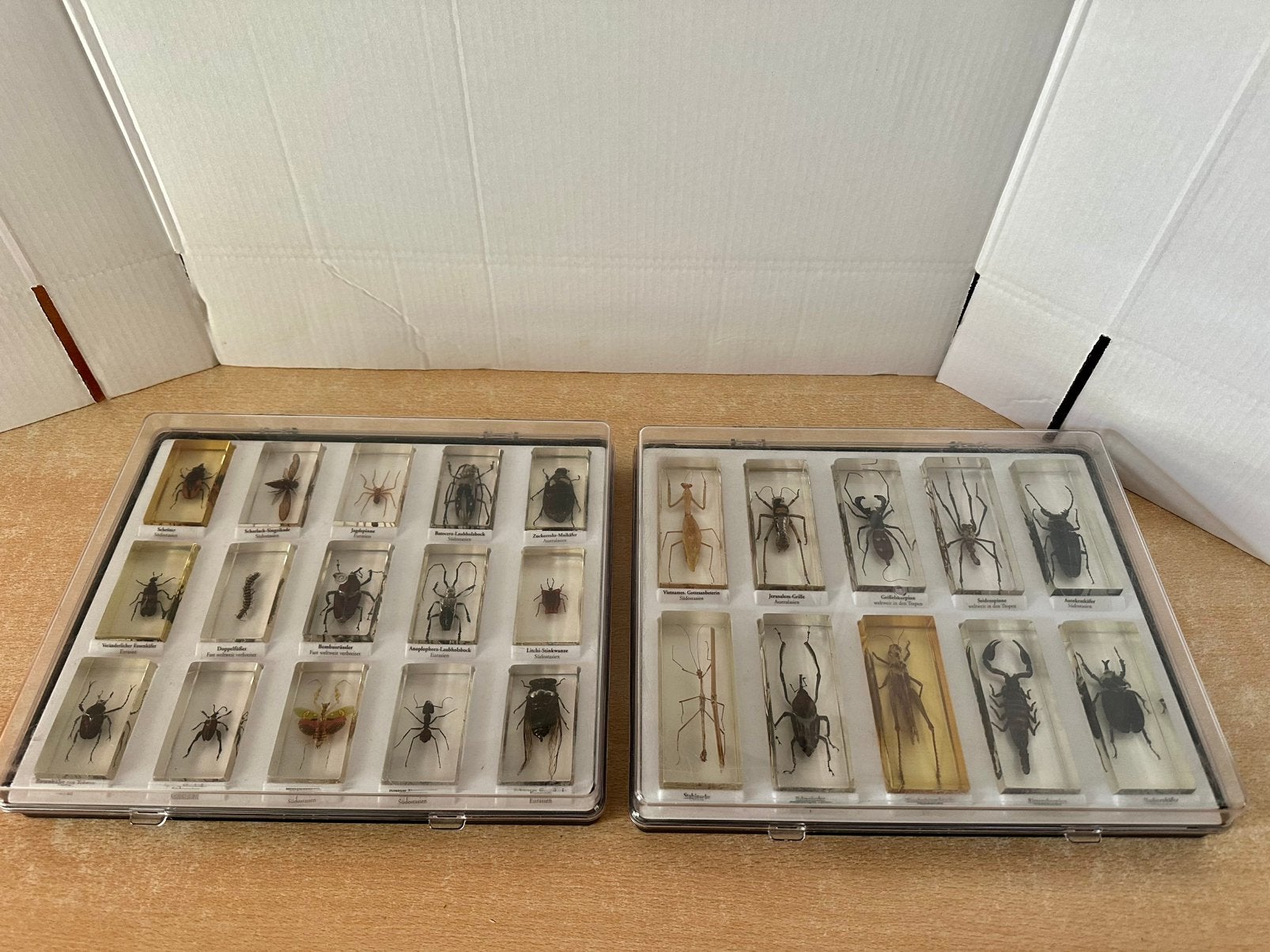 Insecten in hars, Dieren en Toebehoren, Overige soorten