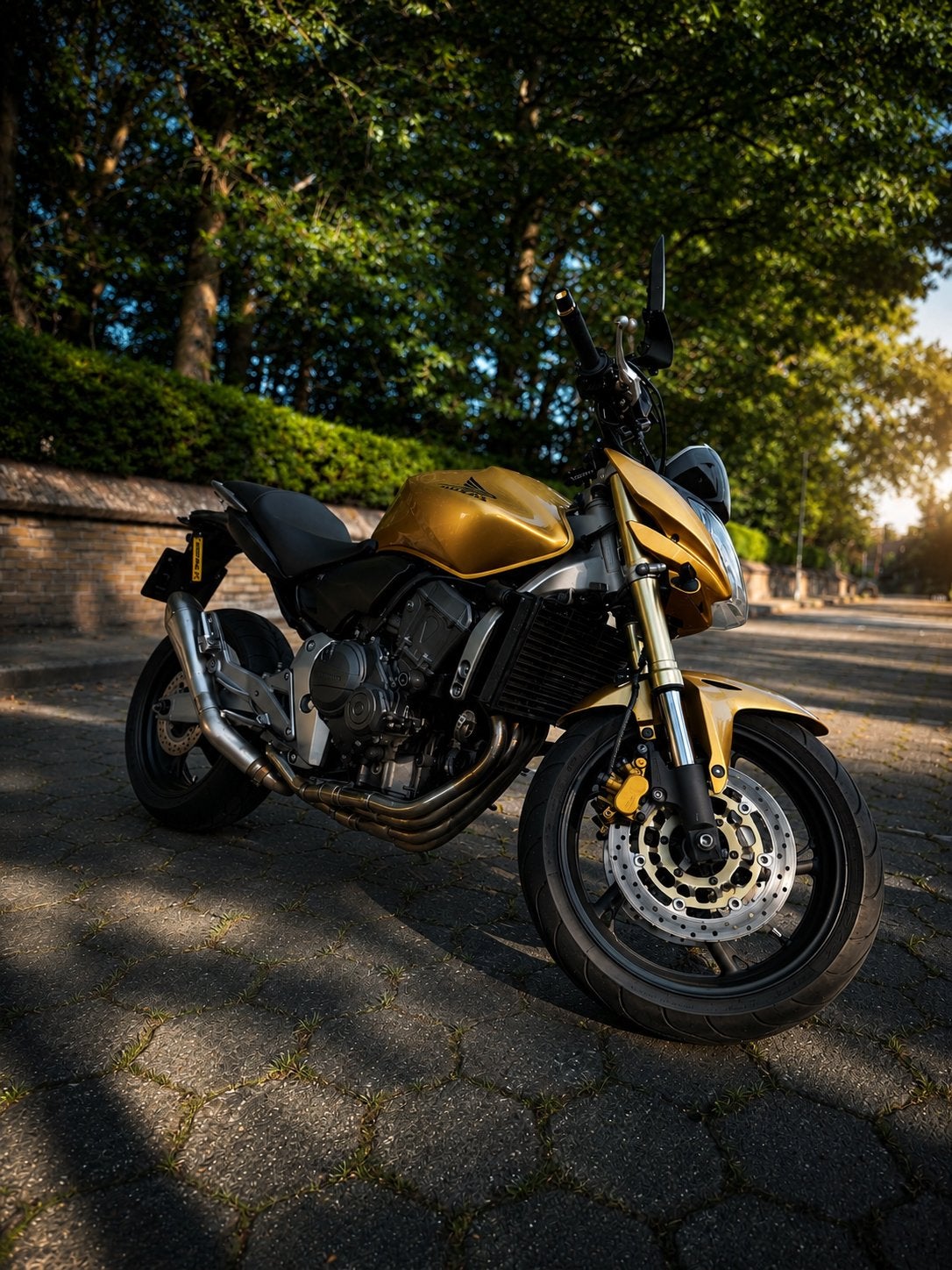 Honda CB 600 F hornet, Occasion, Plus de 35 kW, Échappement sport, Particulier