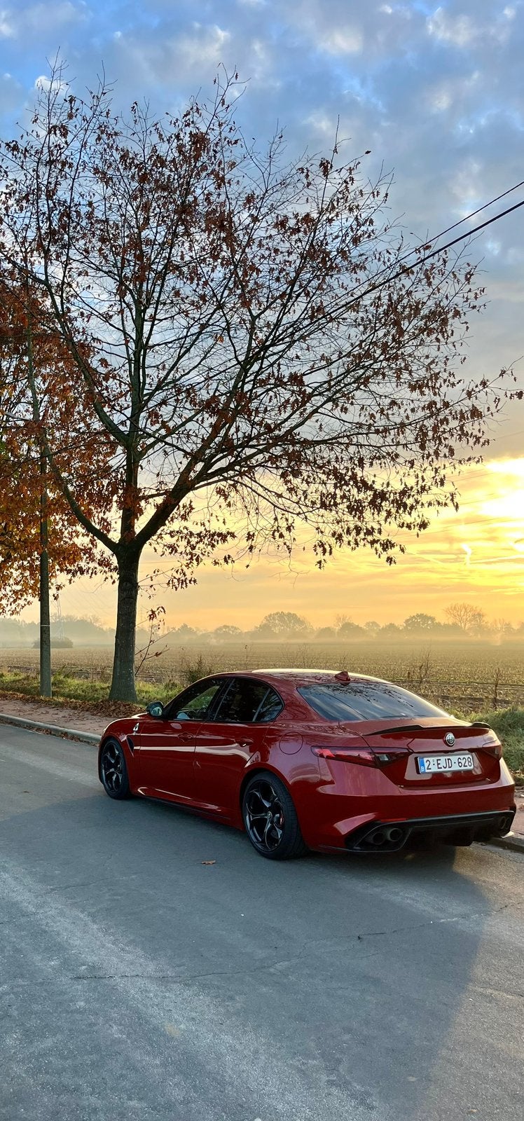 Alfa Romeo Giulia Quadrifoglio - perfecte staat - carbon!, Auto's, Automaat, Achterwielaandrijving, 375 kW, 1595 kg