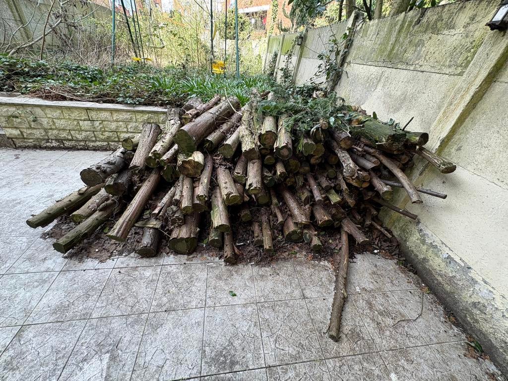 Bois de sapin, Jardin & Terrasse, Moins de 3 m³, Enlèvement, Autres essences de bois, Troncs d'arbres