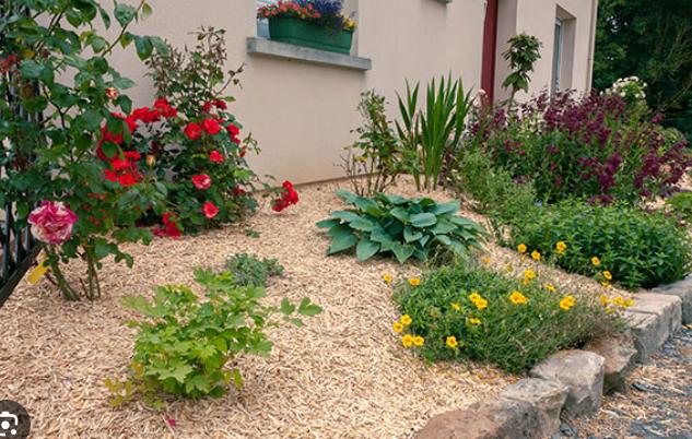 Paillis miscanthus, Tuin en Terras, Ophalen