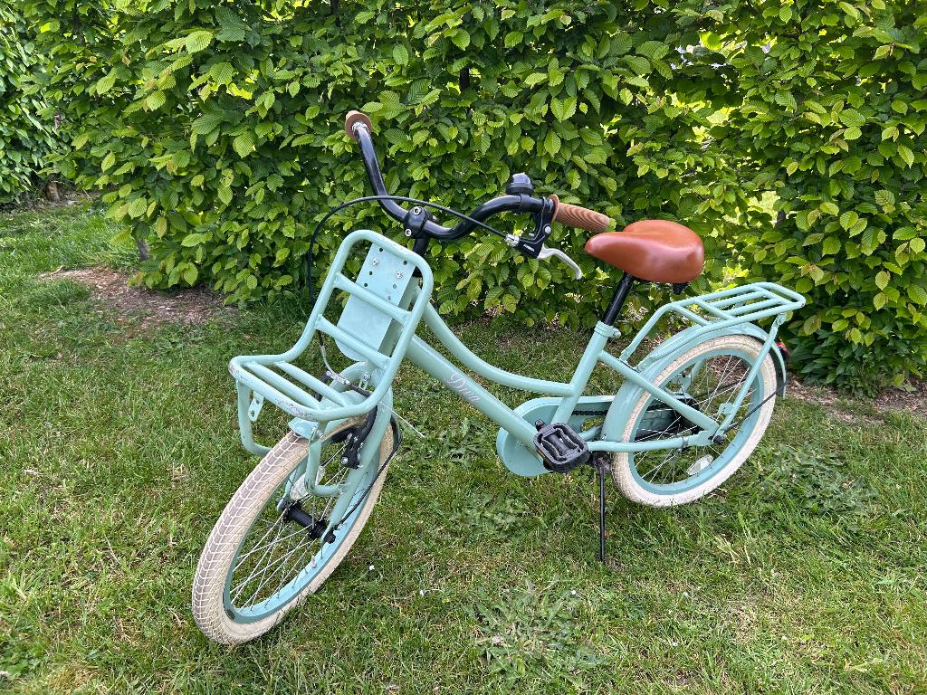 Meisjesfiets 18 inch, Fietsen en Brommers, Ophalen, Gebruikt, Terugtraprem, 18 inch