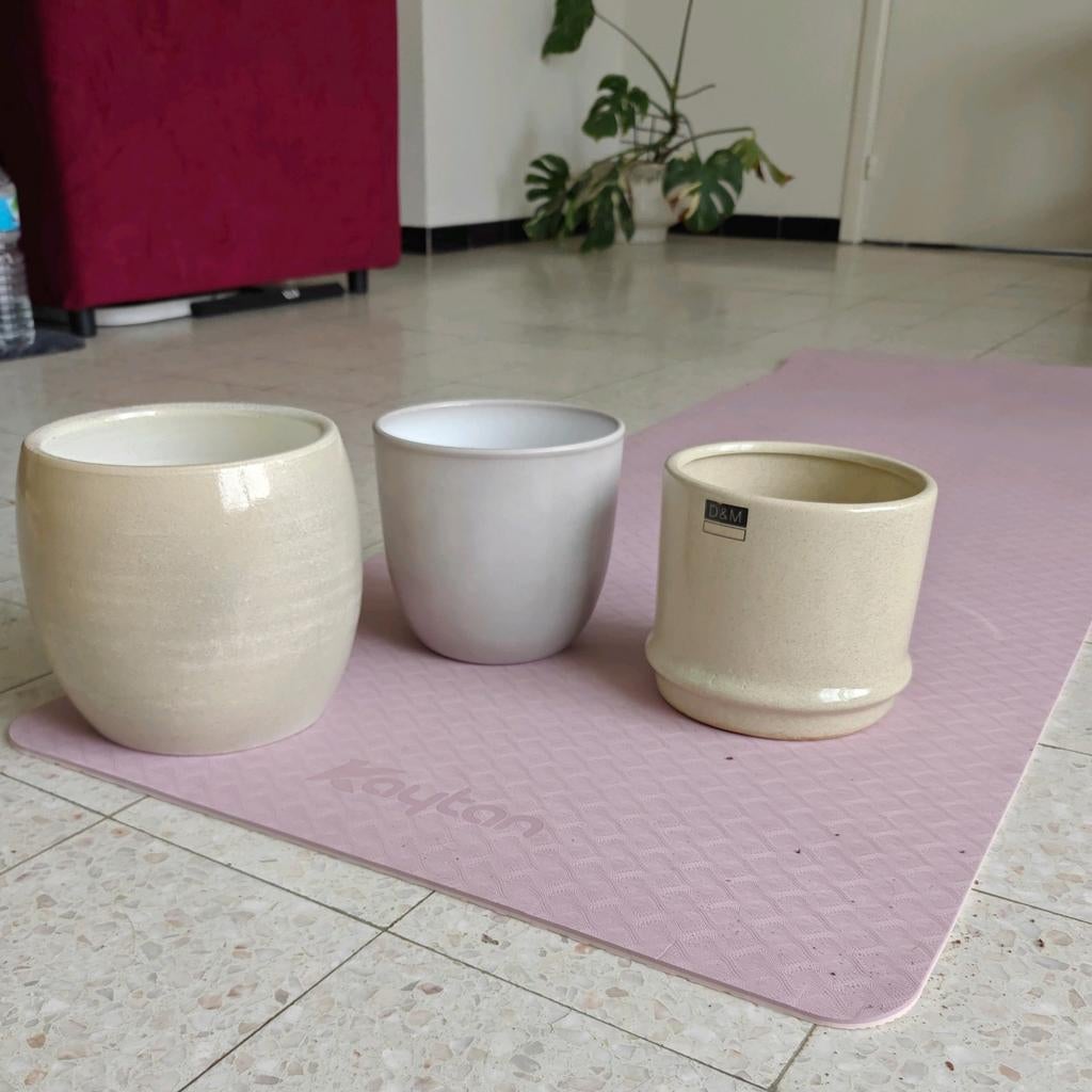 3 pots de fleurs ou séparément, Enlèvement