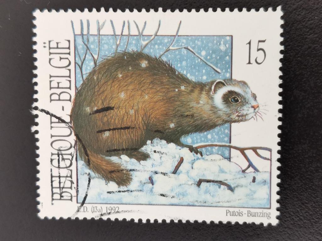 Belgie 1992 - kleine zoogdieren - Bunzing, Ophalen of Verzenden, Gestempeld