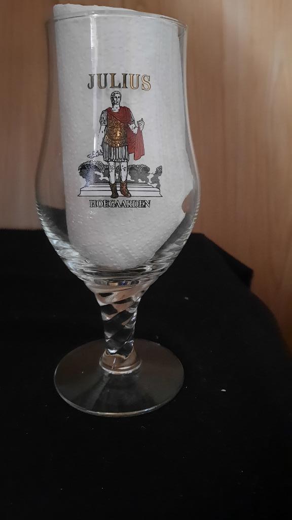 glas JULIUS, Verzamelen, Ophalen of Verzenden, Bierglas