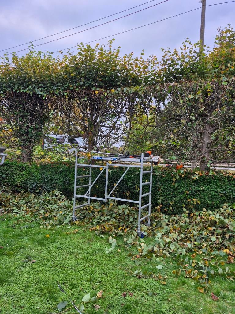 Travaux de jardin