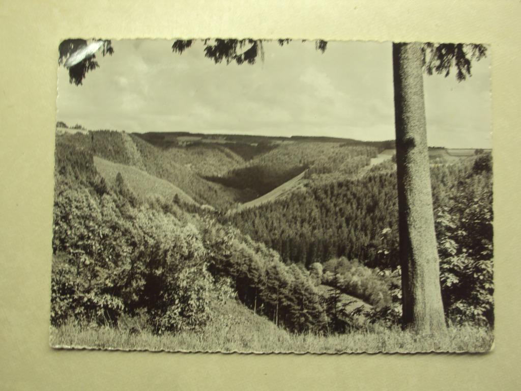 48563 - HAUTES-FAGNES, Envoi