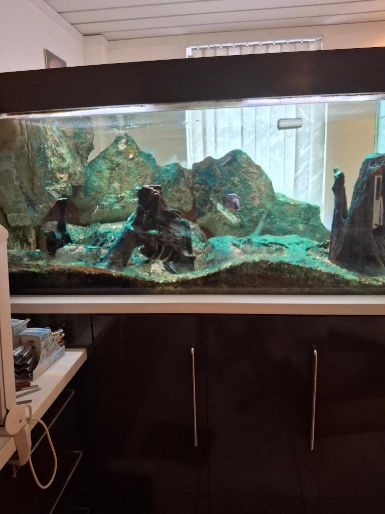 Aquarium 770 l, Dieren en Toebehoren, Ophalen, Zo goed als nieuw, Overige typen