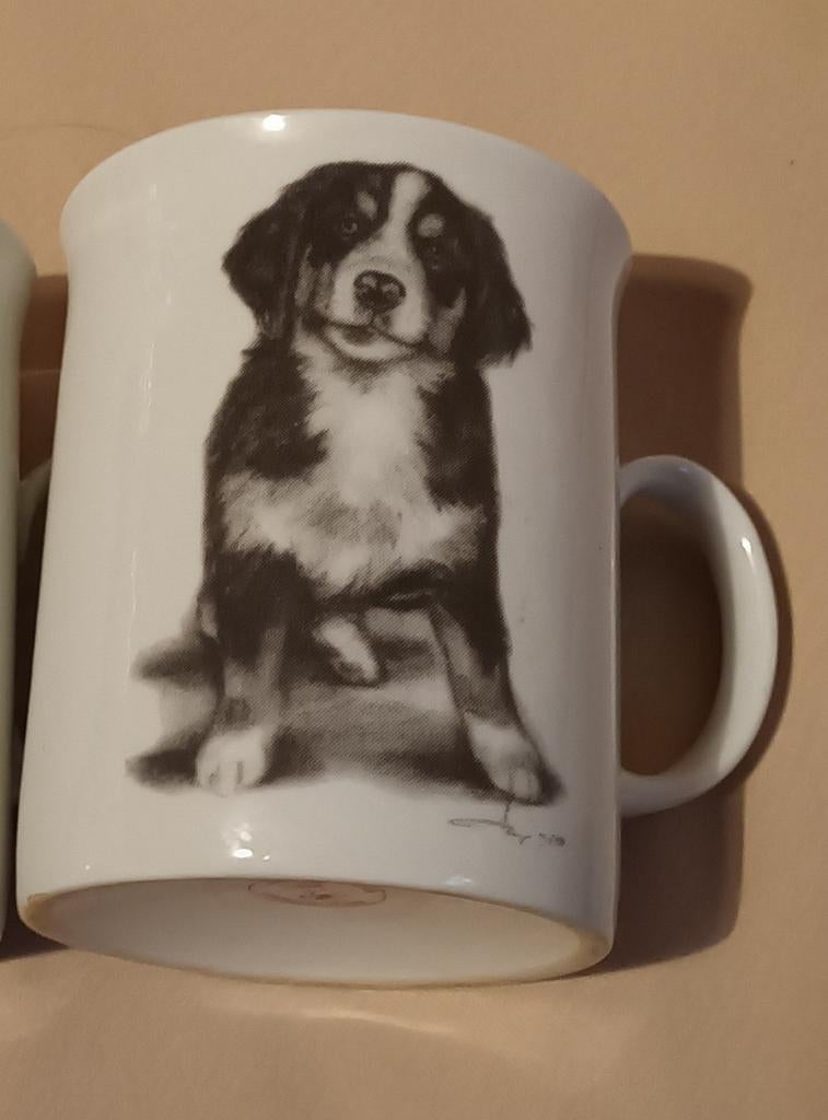 Mok Berner Sennen, Ophalen of Verzenden, Zo goed als nieuw