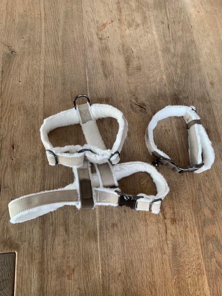 Collier et harnais pour chien Mik&Pepper neufs, Animaux & Accessoires, Enlèvement ou Envoi, Neuf