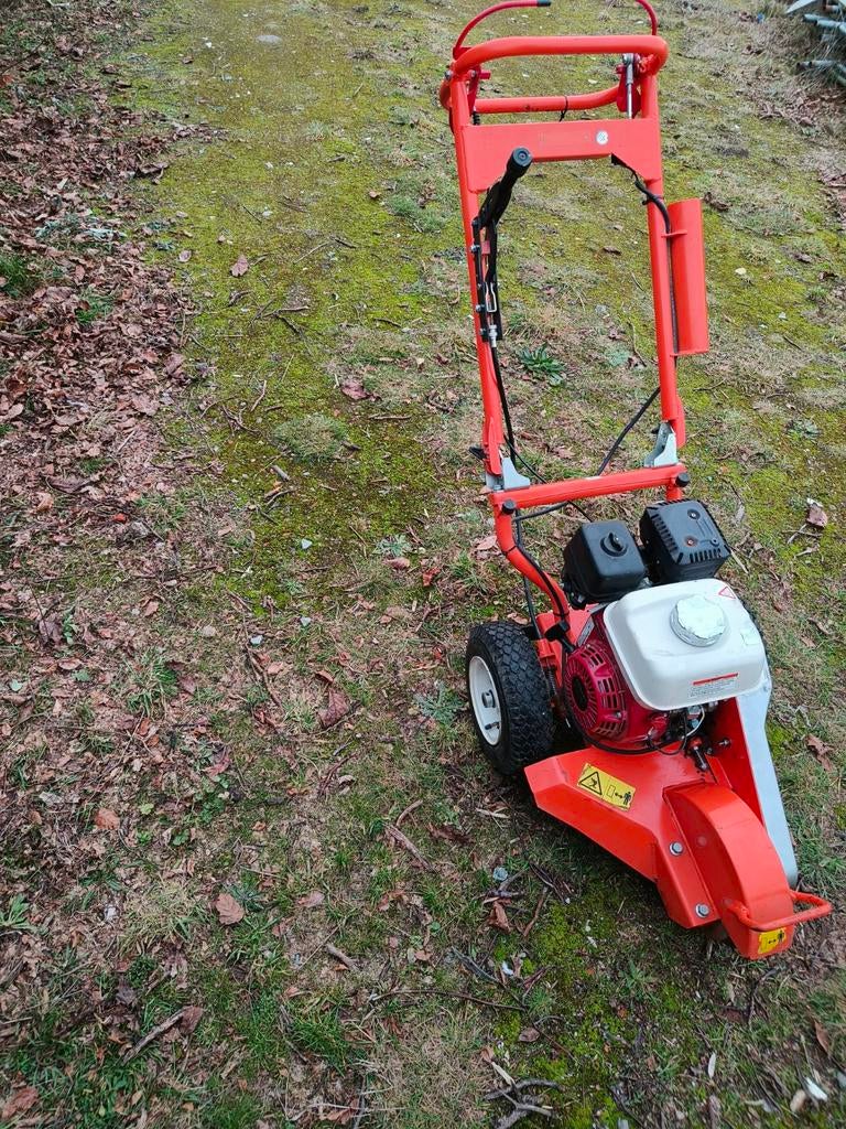 Stronkenfrees, Tuin en Terras, Ophalen