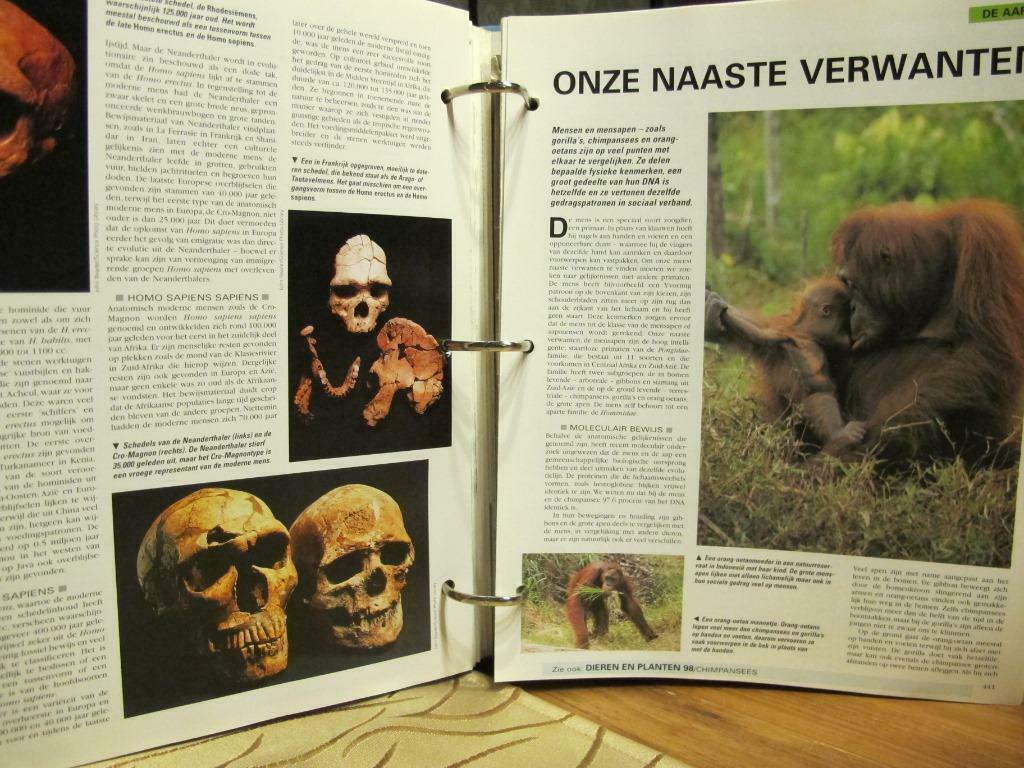 steekkaarten lichaam, Ophalen, Gelezen, Natuurwetenschap