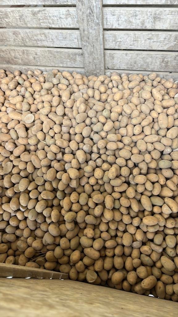 Aardappelen voor veevoer, Ophalen of Verzenden