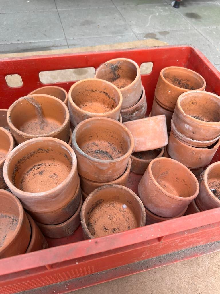 Lot kleine bloempotjes, Ophalen, Zo goed als nieuw
