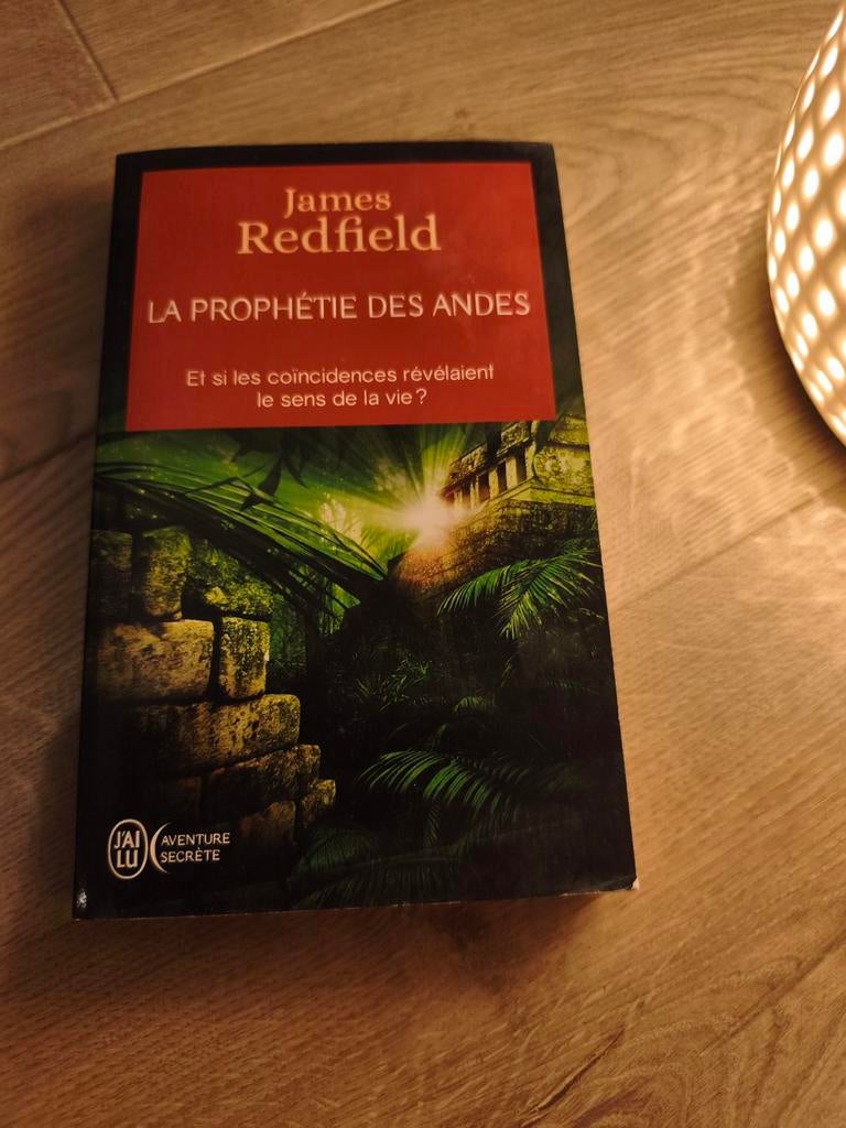 James Redfield - La prophétie des Andes, Enlèvement ou Envoi