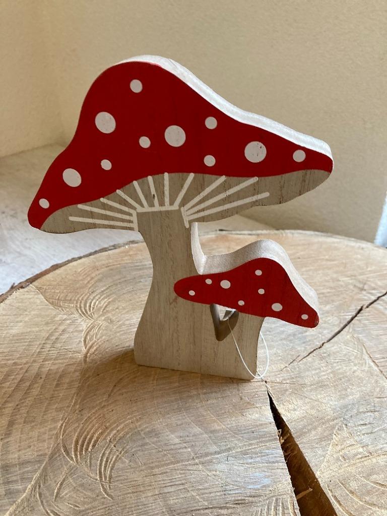 HOUTEN DECORATIE PADDENSTOEL 18 CM nieuw, Ophalen of Verzenden, Nieuw, Overige typen