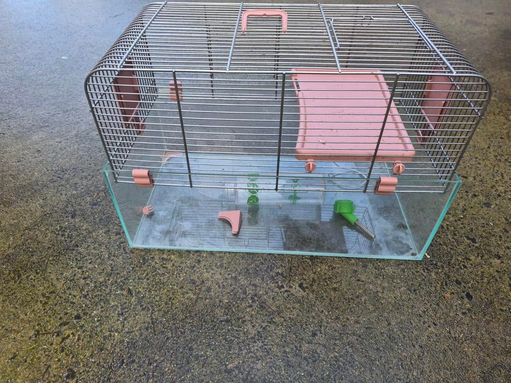 Cage à hamster avec barres de verre et de fer à vendre, Moins de 60 cm, Cage, Comme neuf, Hamster