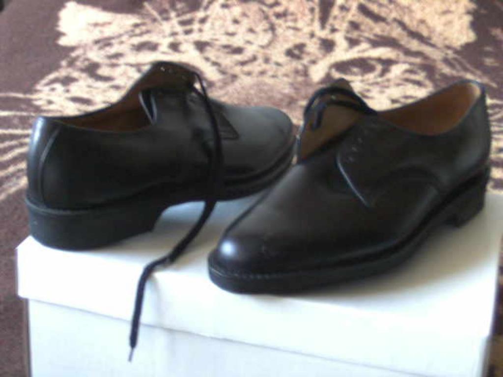 Chaussure de marche, Vêtements | Hommes, Chaussures, Neuf, Noir, Enlèvement ou Envoi