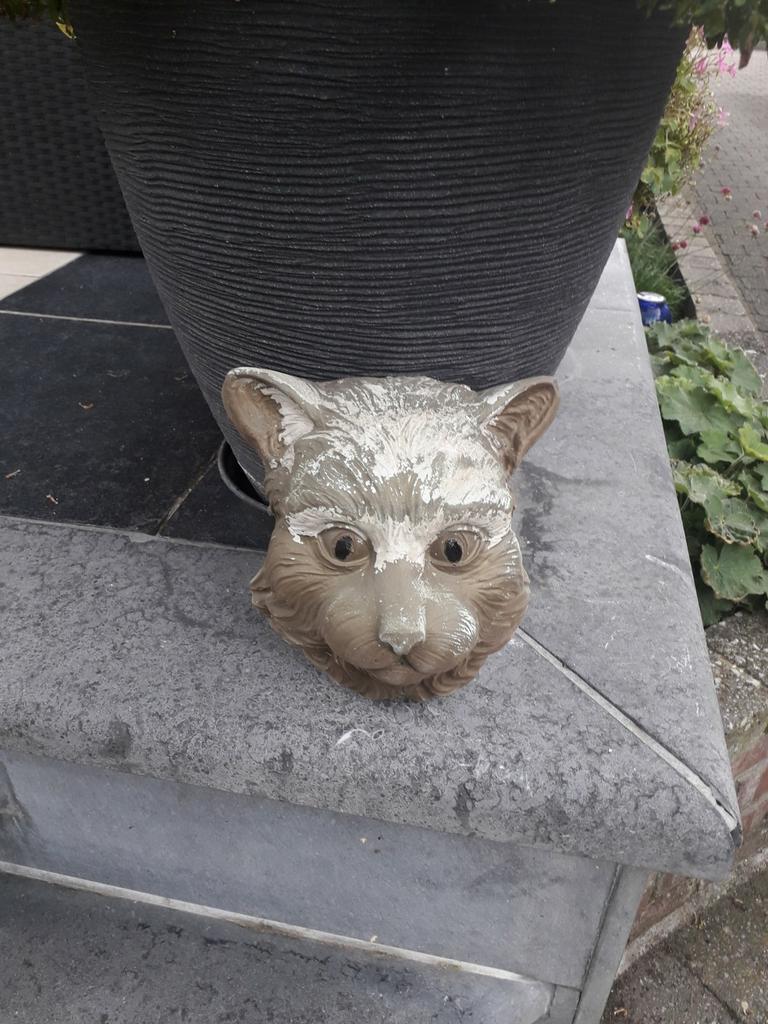 Mooie gekleurde betonnen katten kop, Tuin en Terras, Ophalen