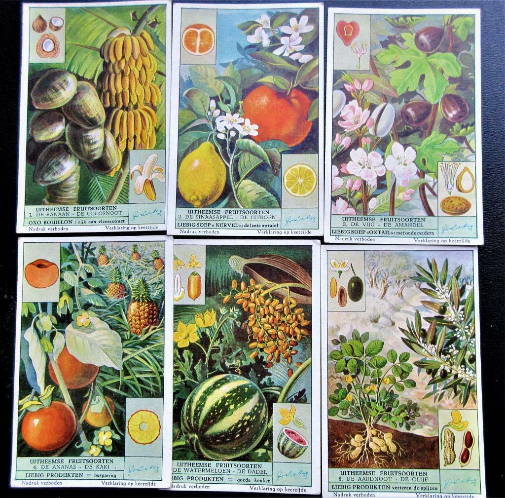 Liebig imprime "fruits exotiques", Enlèvement ou Envoi, Gravure, Comme neuf, Nature