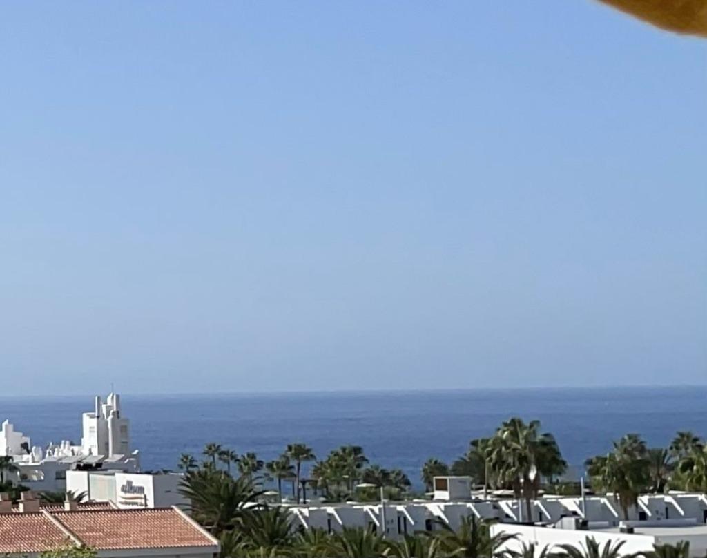 Studio te huur  Costa Adeje Tenerife, Eigenaar