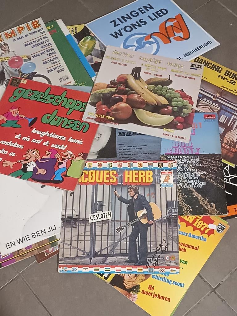 Lot van 34 Nederlandstalige lp's, Ophalen